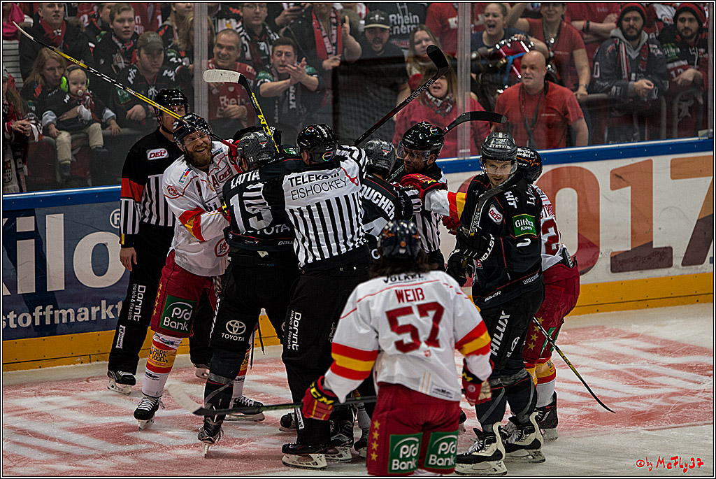 Koelner Haie - Duesseldorfer EG, 18.12.2016